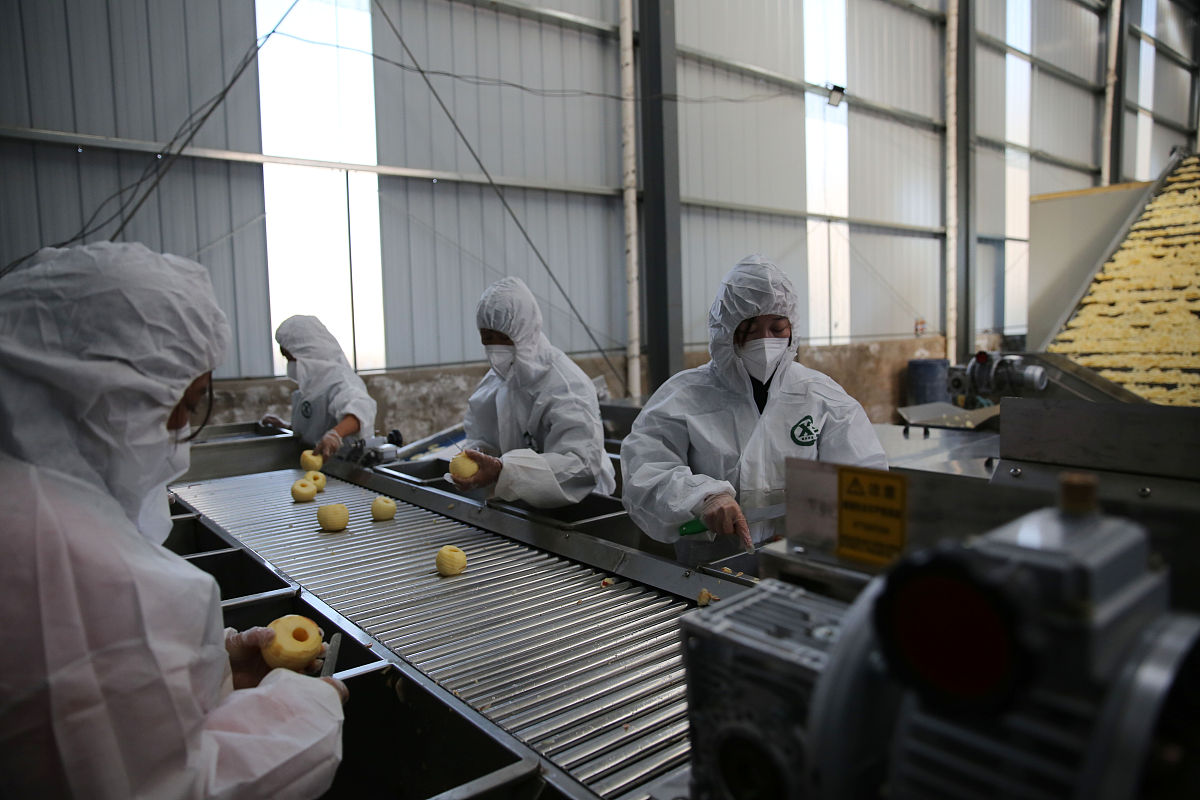 食品生物工艺专业就业方向如何