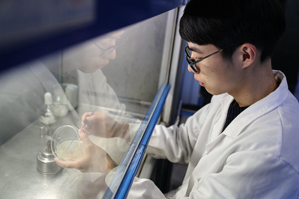 辽宁工程技术大学信息与计算科学专业怎么样？_就业前景、课程设置、师资力量分析