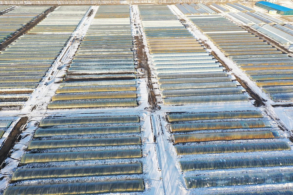 黑龙江农业经济职业学院畜牧兽医专业如何好学吗