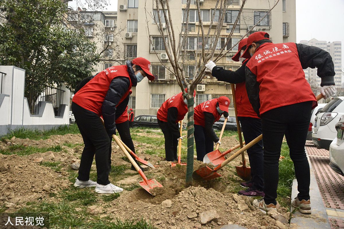 800字的劳动实践报告
