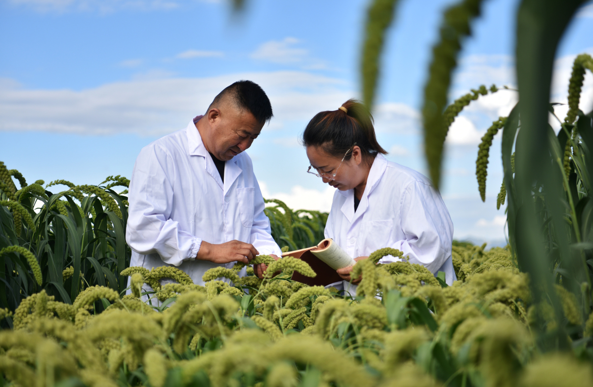 对农业农村领域的信息资源进行收集,整理,分析和利用,以提高农业生产