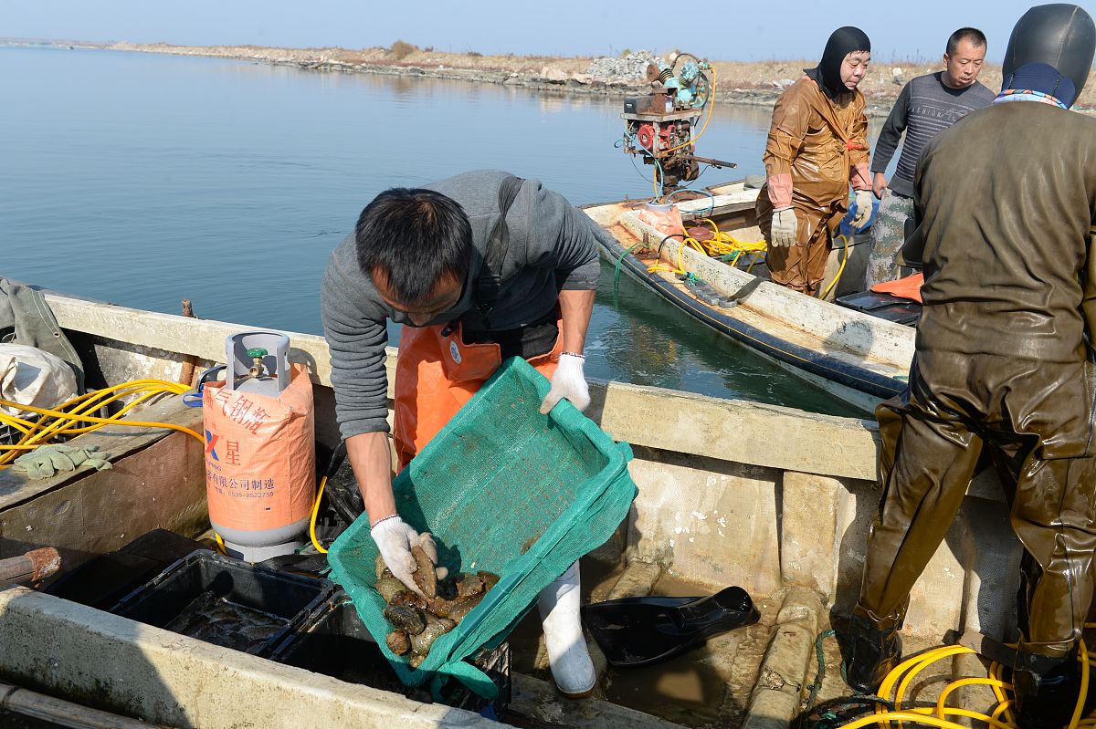 中国渔业分类：捕捞与养殖