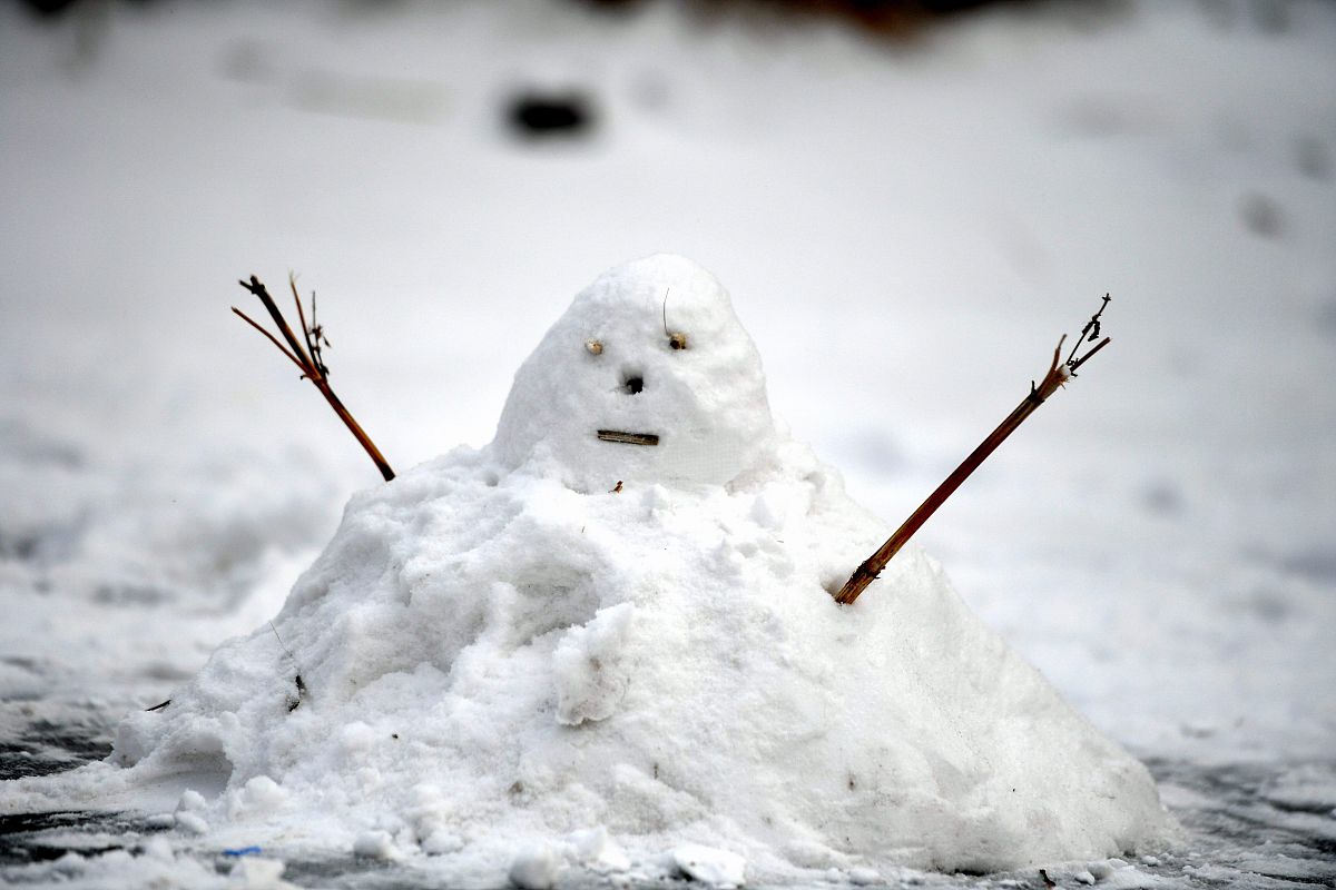 家乡的雪 写一篇300字小学作文