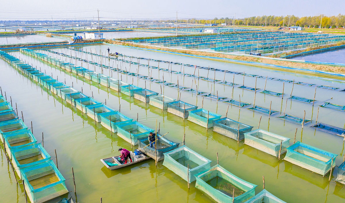 水产养殖技术专科就业前景好不好？