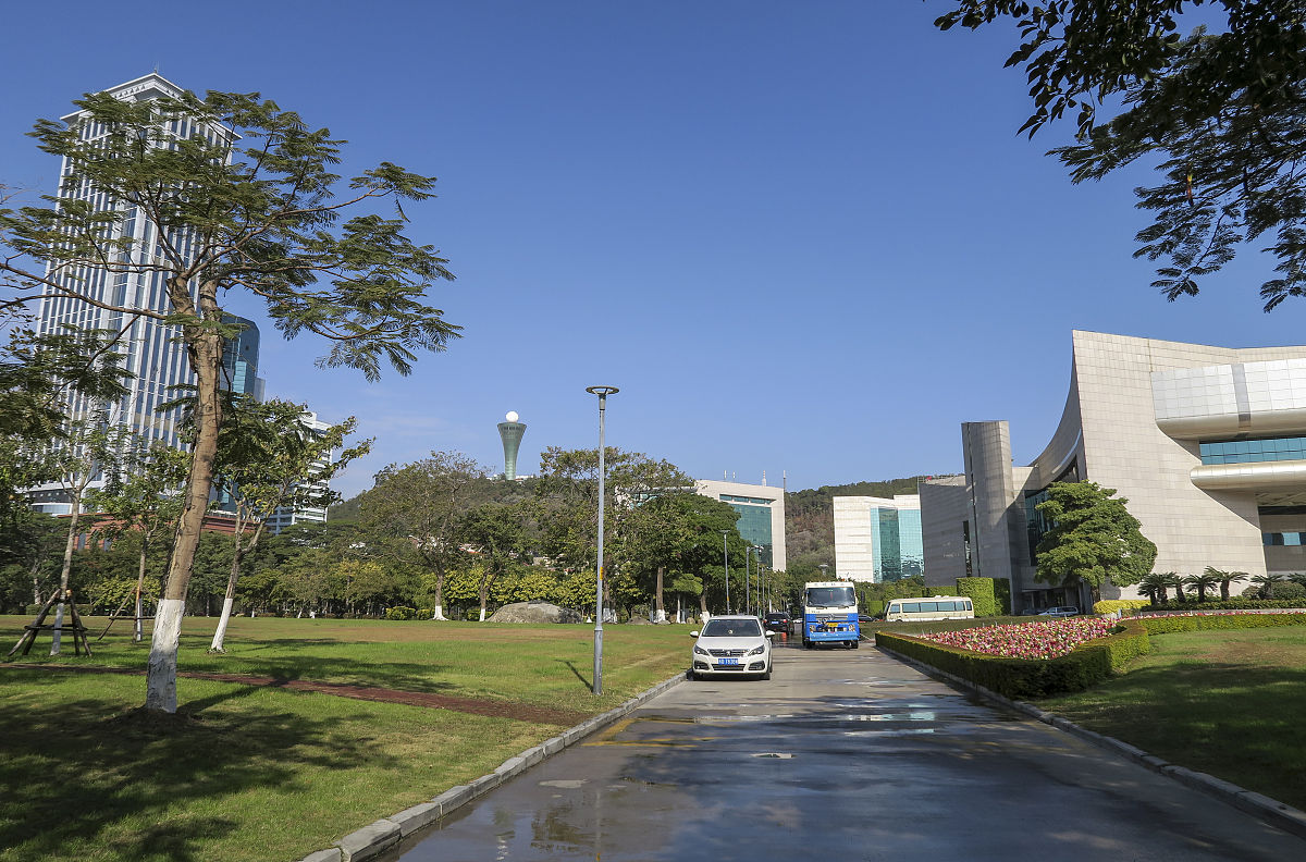 深圳信息职业技术学院嵌入式技术与应用专业课程设置有哪些