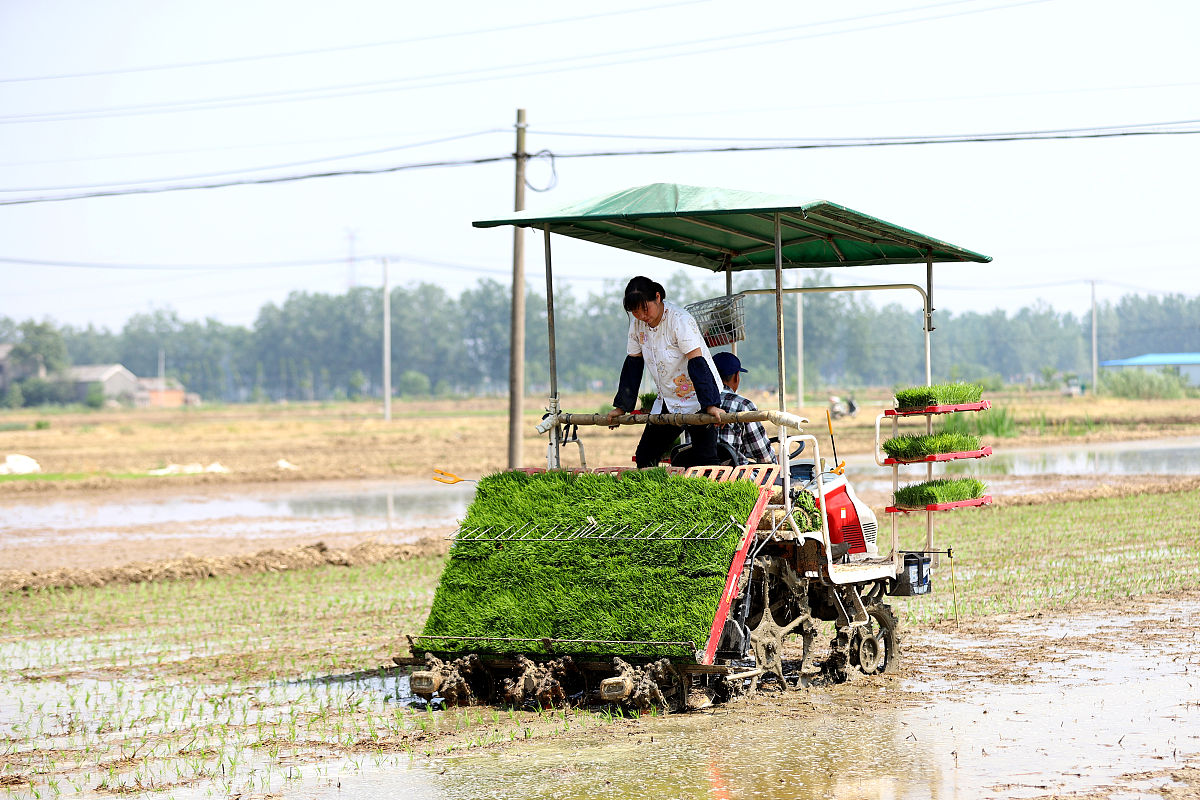 选择泸西县农业机械化技术学校好不好