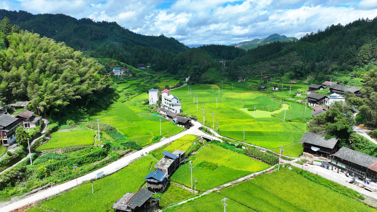 三涧溪村：环境保护、生态建设，回归自然打造美好乡村