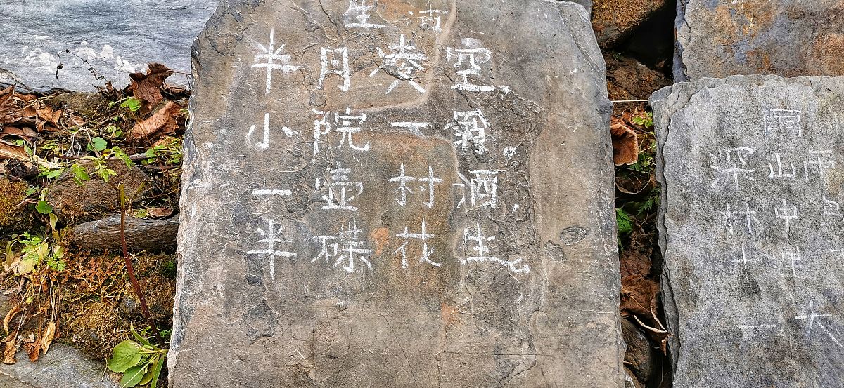 2019年11月12日,北京,房山水峪村,初冬,秋叶纷纷落,山村银杏铺就,"暧