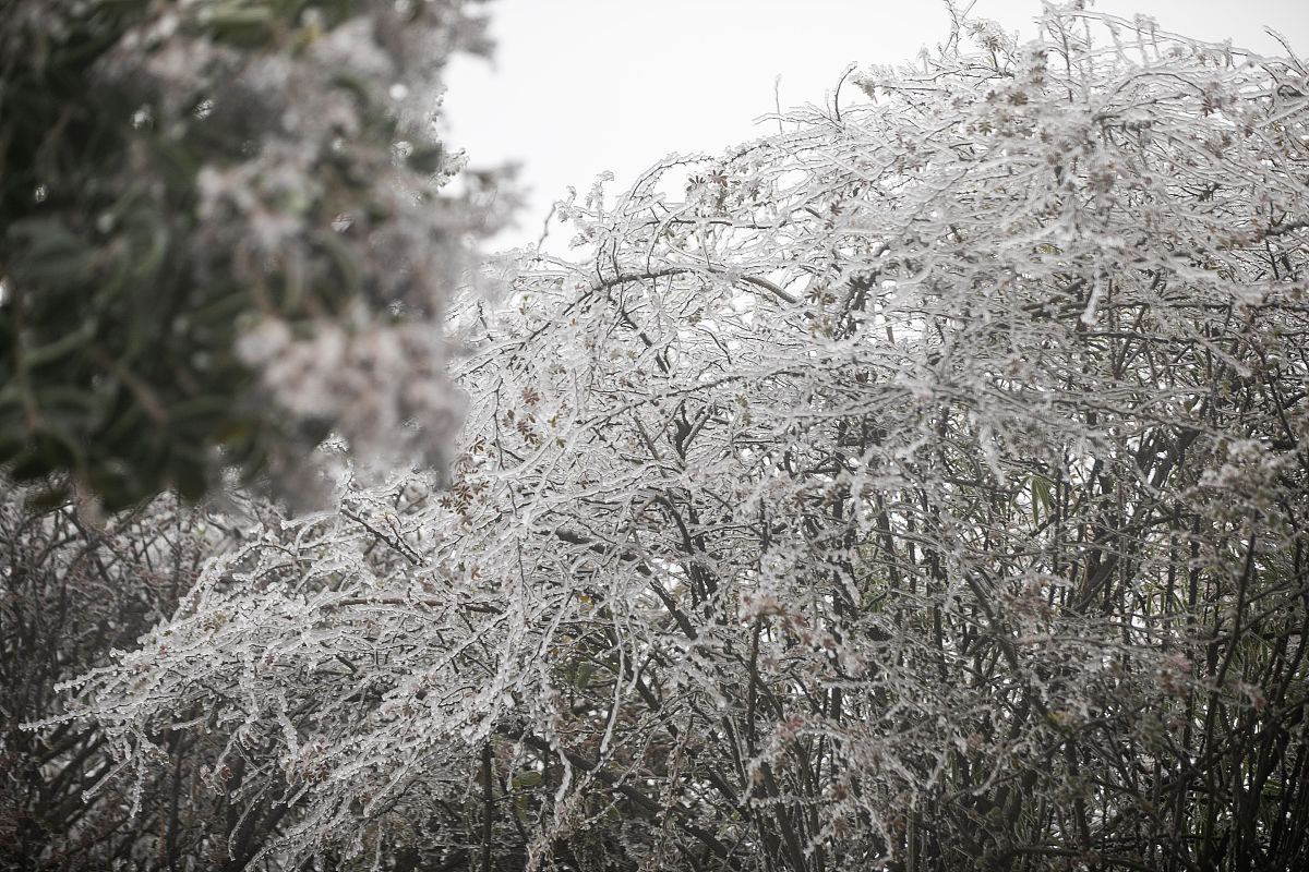 纳雍中等职业学校2021年招生简章