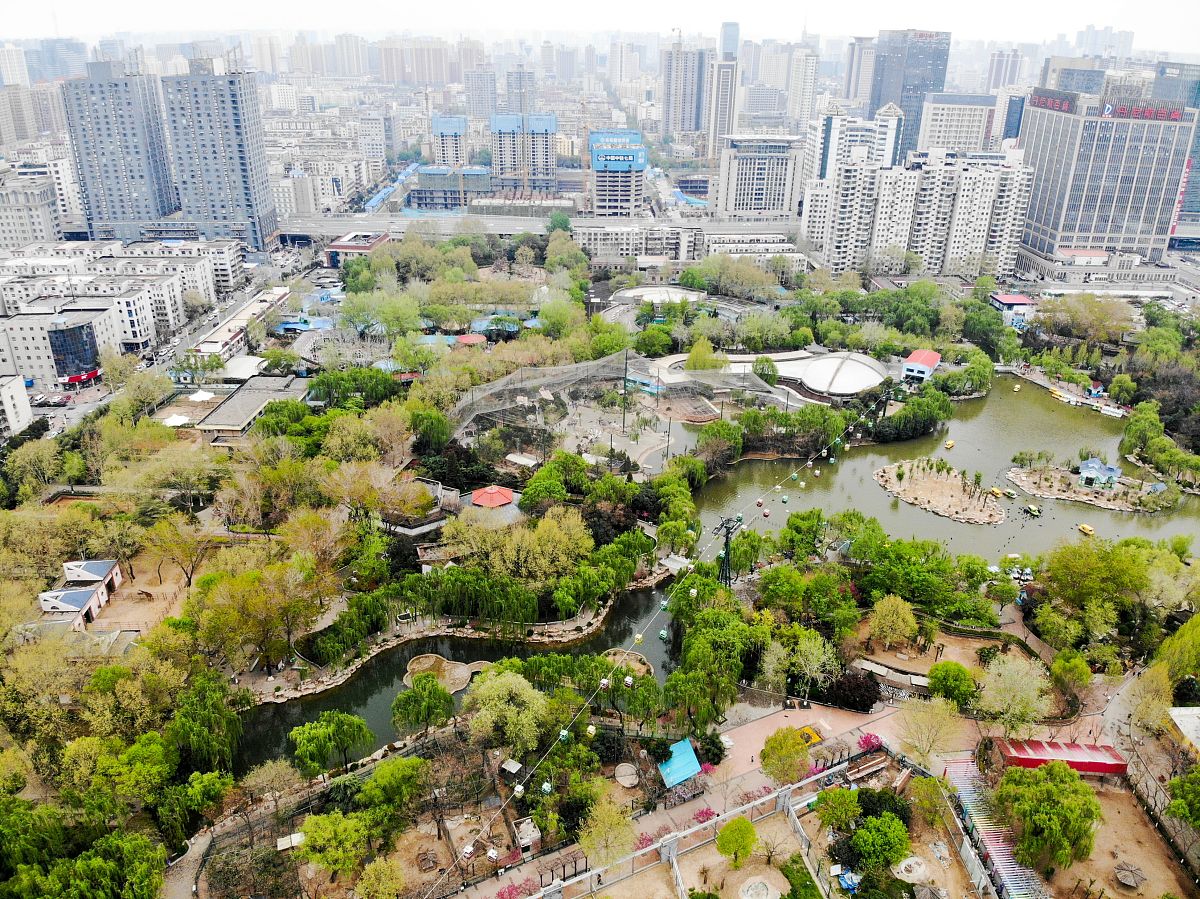 郑州市有哪些特色？郑州市的旅游景点有哪些？郑州市未来发展怎么样？