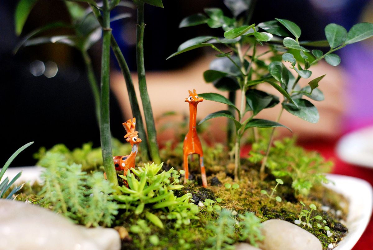 南充科技职业学院是公办还是民办