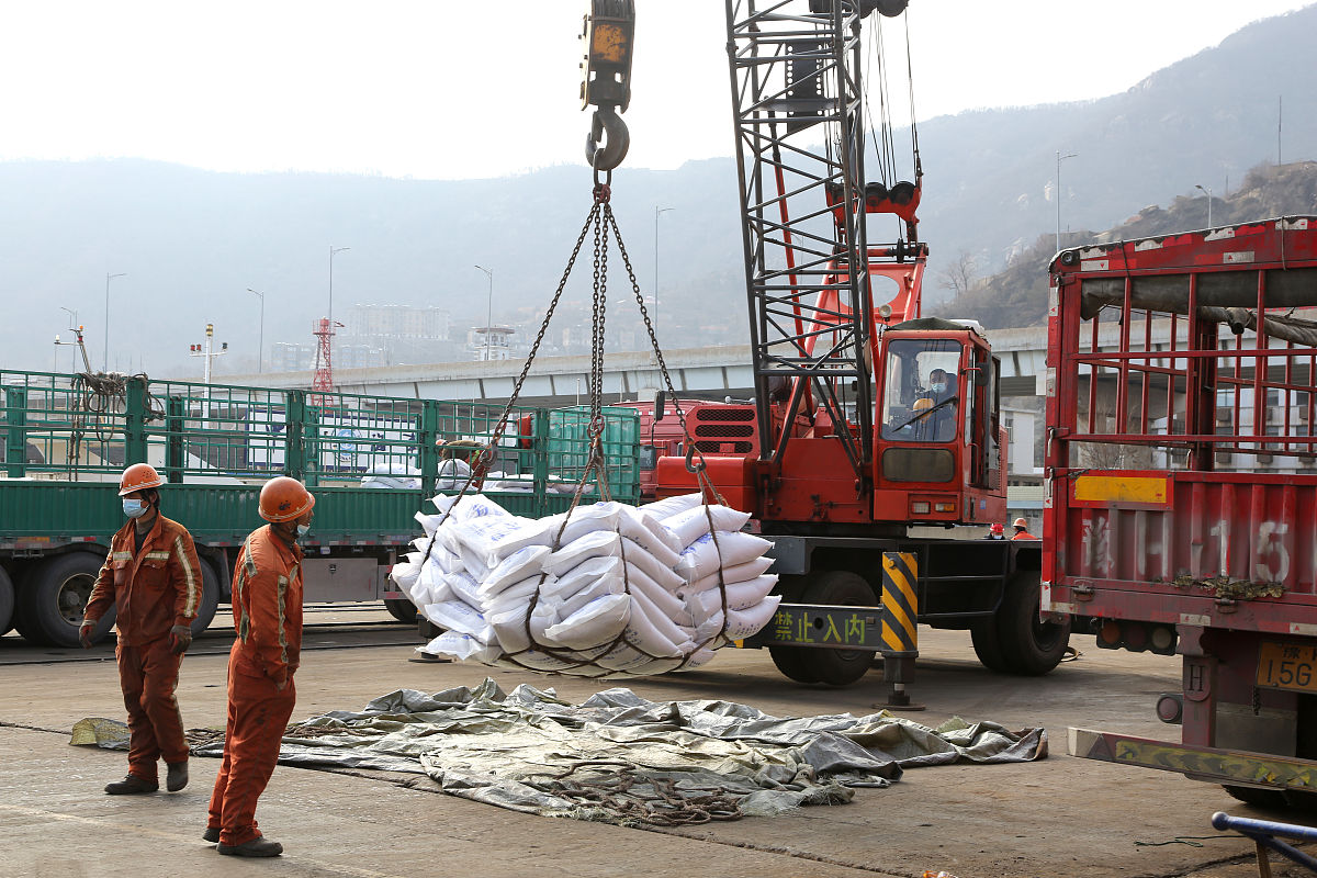 植物如何吸收钾离子：钾转运蛋白和离子通道的作用