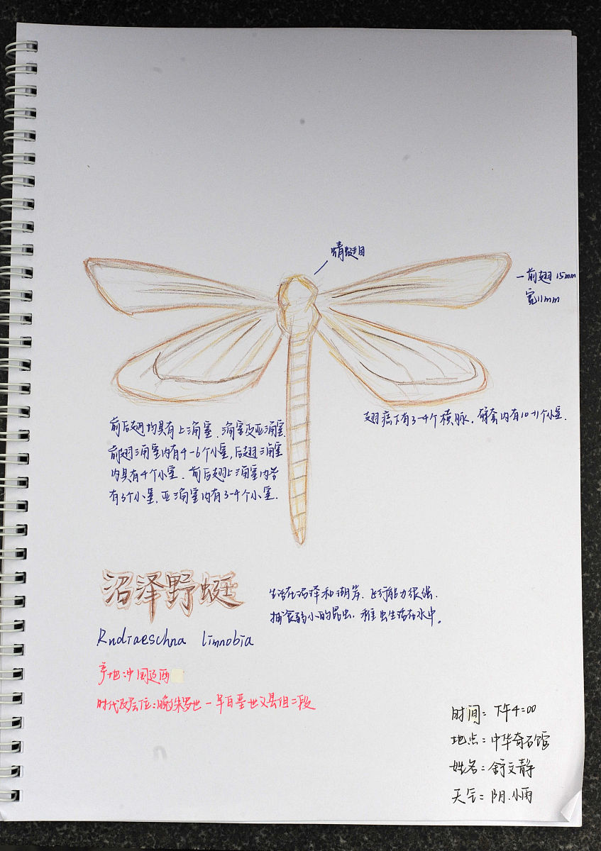 研学活动经验总结