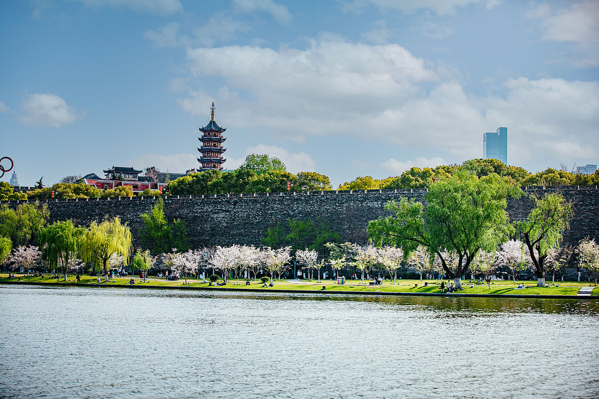 2021年3月26日,春日的南京城墙,绿树樱花,很好看,尤其是玄武湖一段的