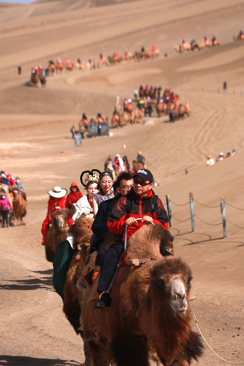 甘肃幼师学校招生信息：2021年招生简章及报考指南