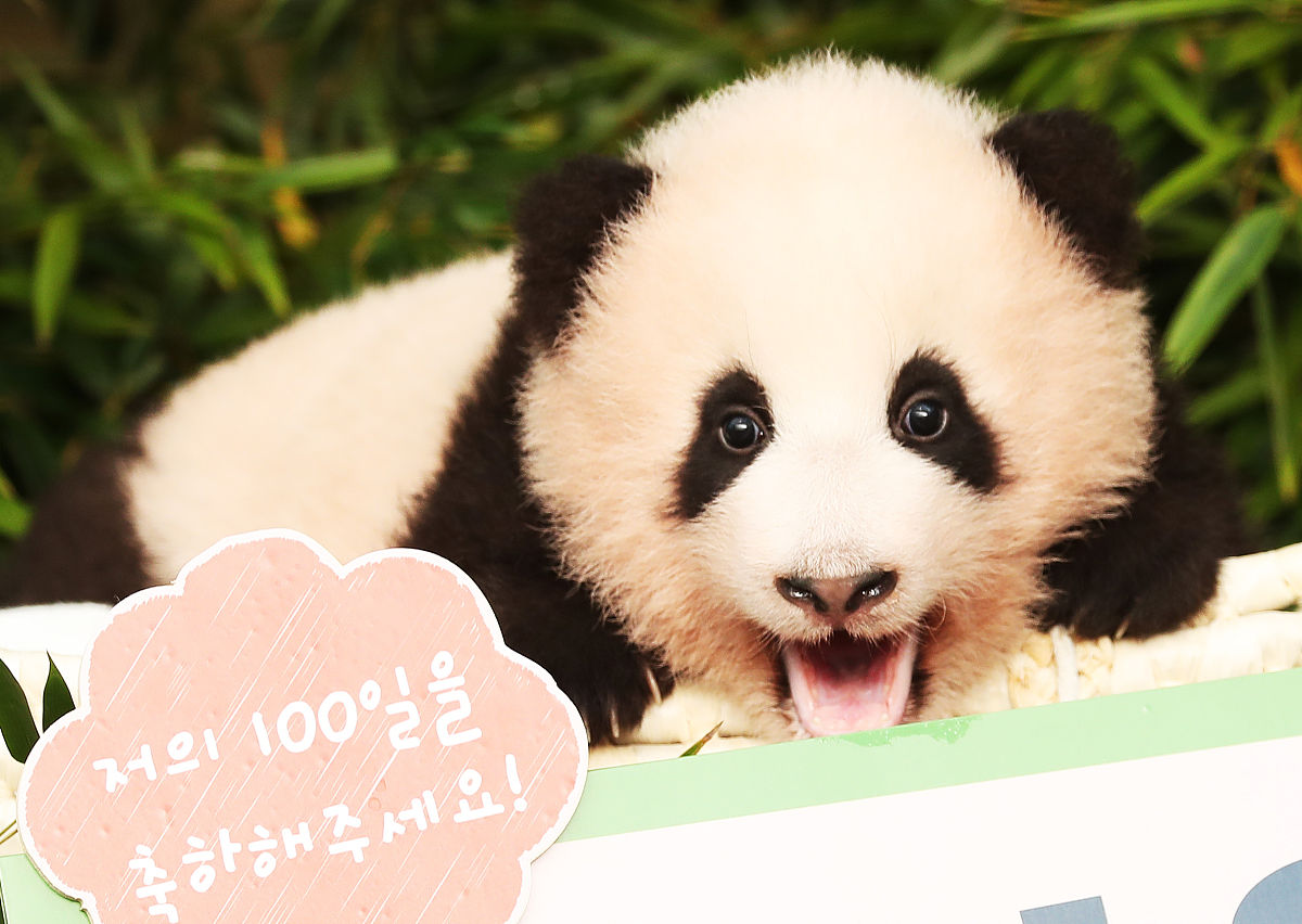 姓游宝宝取名：好听有寓意的小名推荐