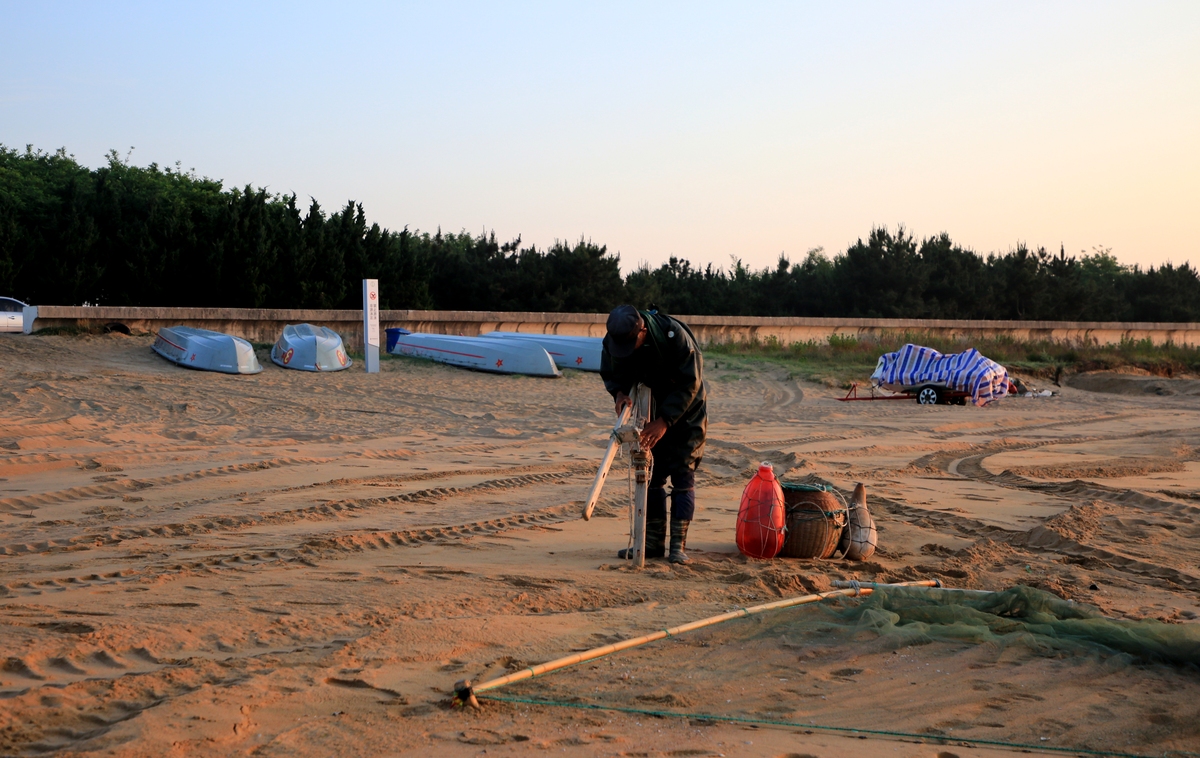 公路段 防风固沙用枝条插到沙漠里形成柴木方格的新闻稿2000字