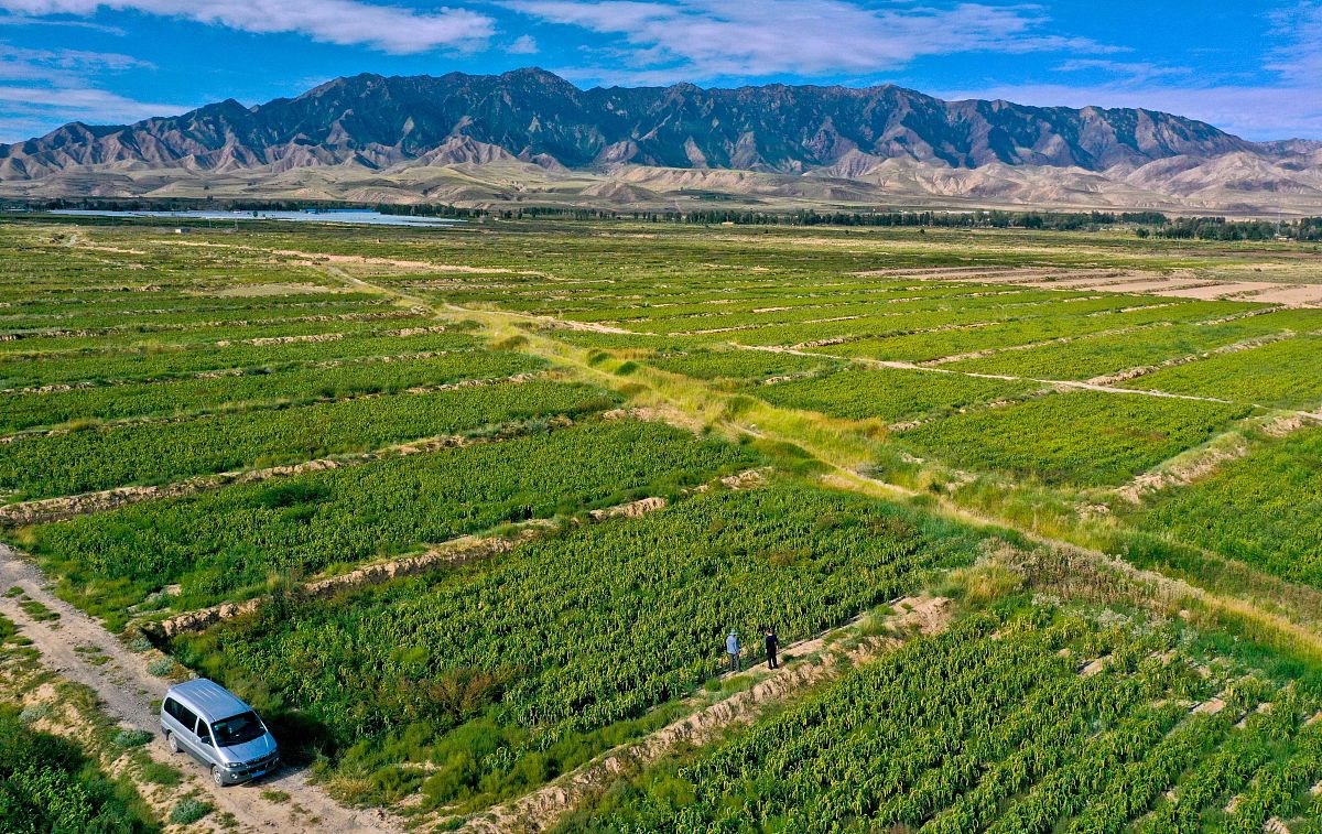 甘肃工业职业技术学院地质灾害调查与防治专业就业方向有哪些
