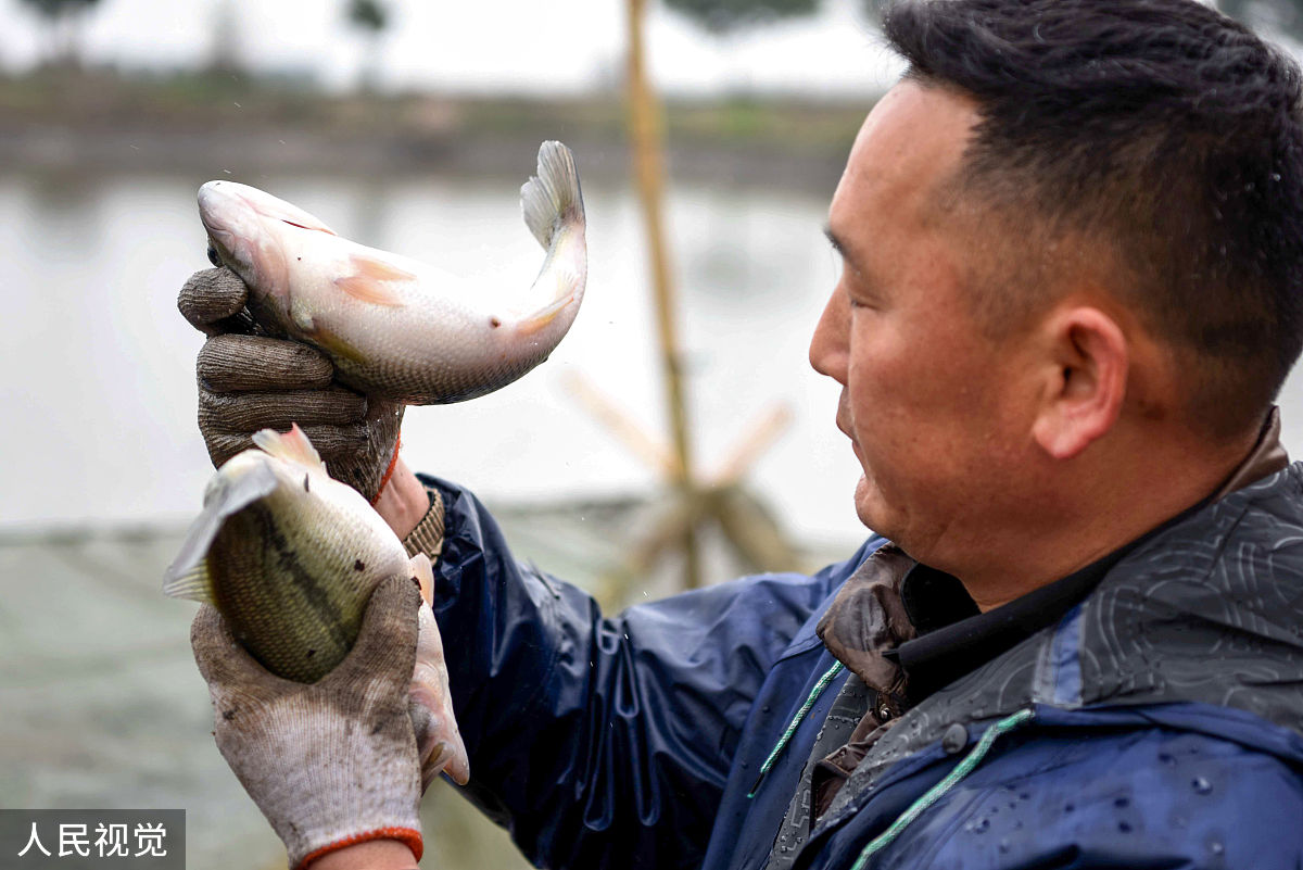 铜陵市财经学校2023年招生人数是多少-怎么样
