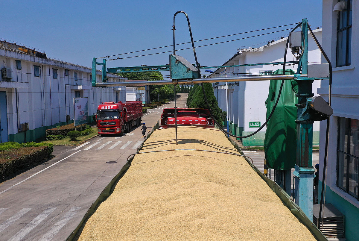 粮油储运与检验技术就业前景如何