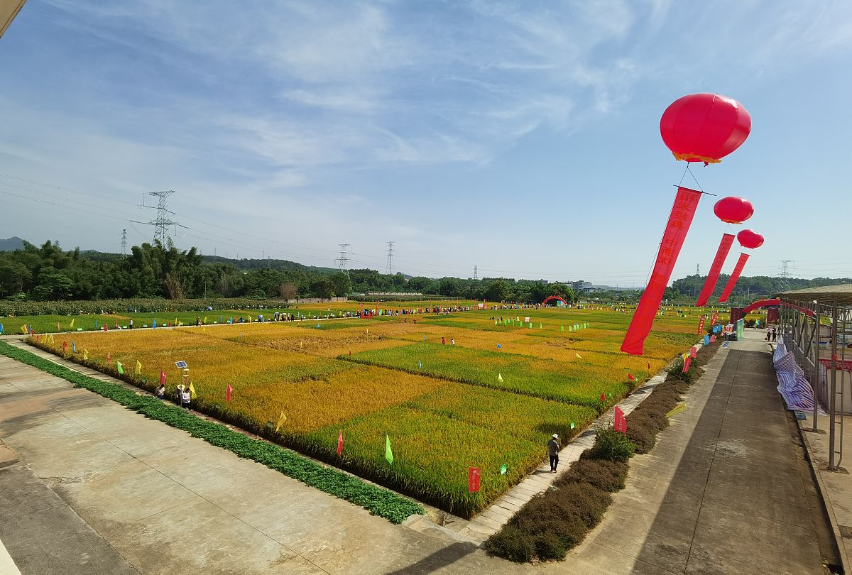 光催化在农业棒孢菌防治产业方面的前景？
