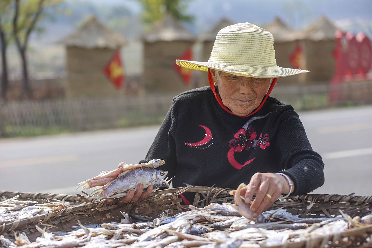 玉溪市电子商务进农村综合示范项目推进与乡村振兴
