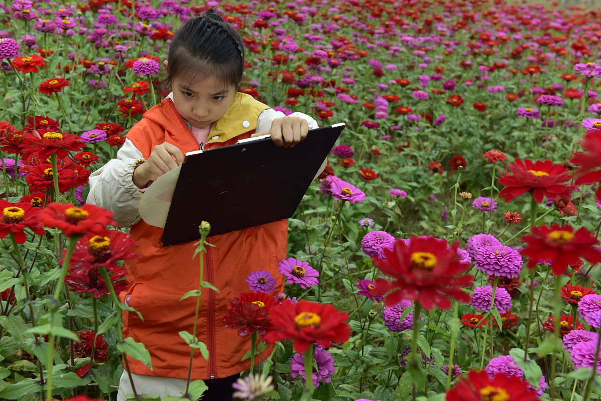 安徽机电工程学校2023年招生条件及专业人数-培养高素质机电人才