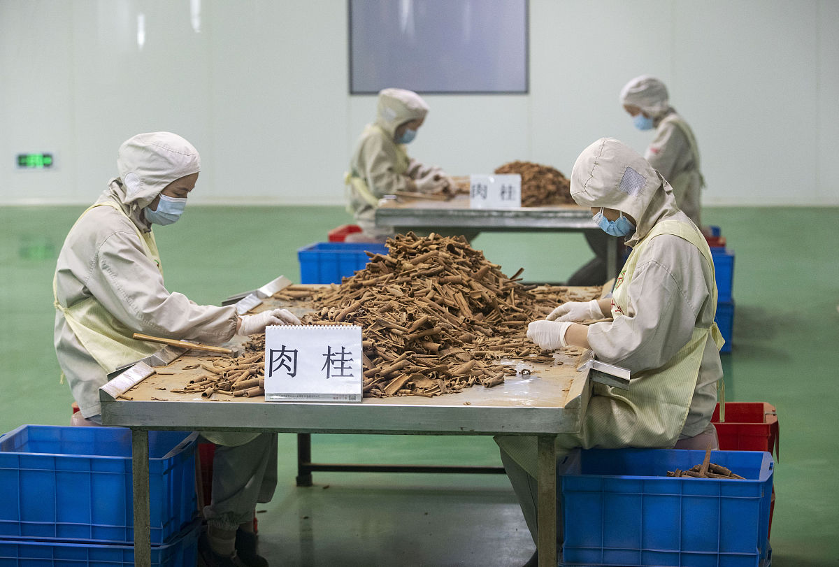 河南省驻马店小学什么时候开学