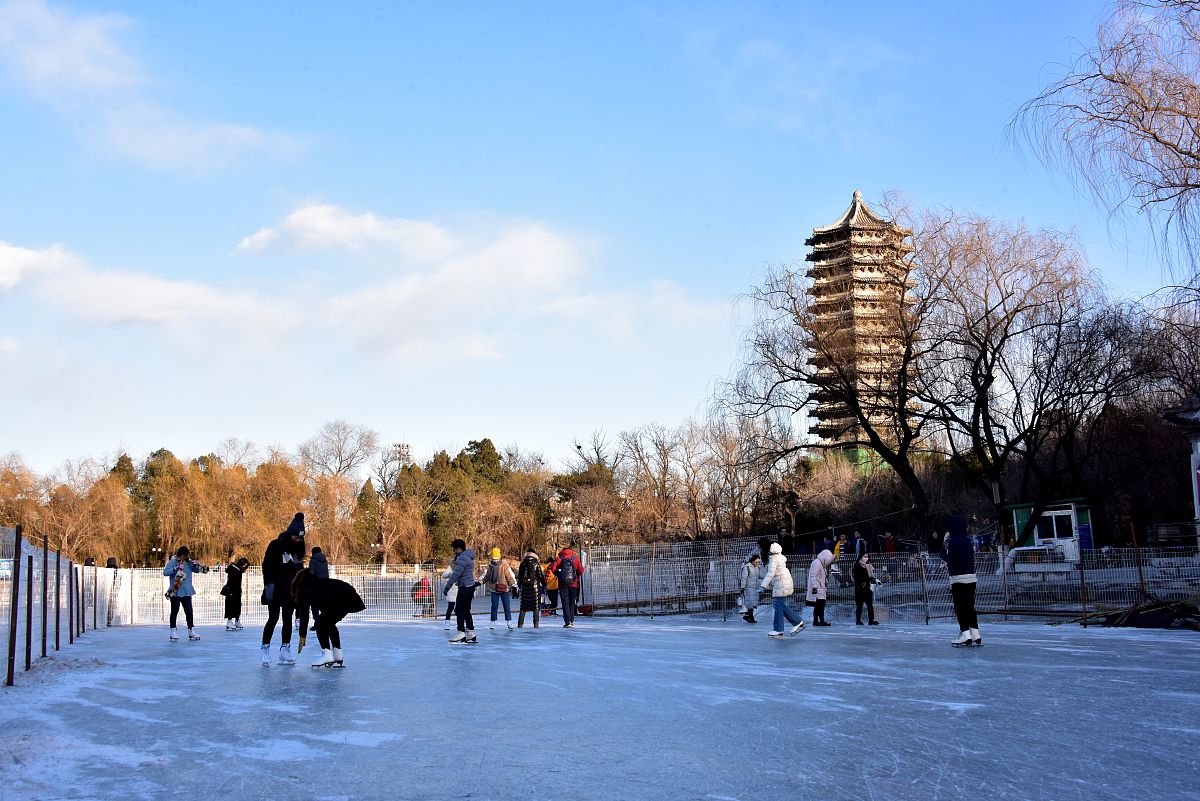 内蒙古开放大学自动评分工具 - 快速高效完成课程评分