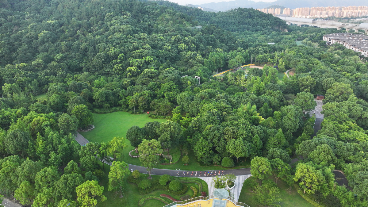 万州翠屏山公园：城市公园还是森林公园？