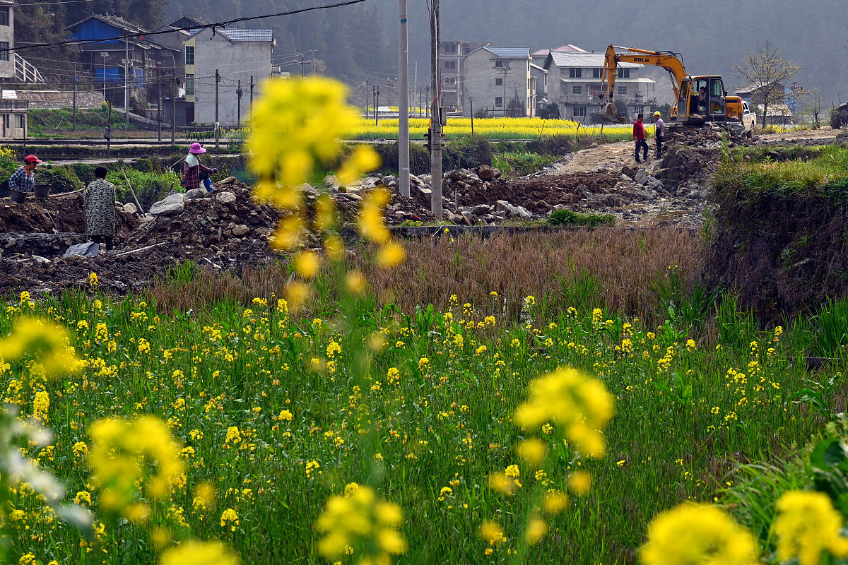 贵州2022年中专与专科的区别:深度解析及报考指南