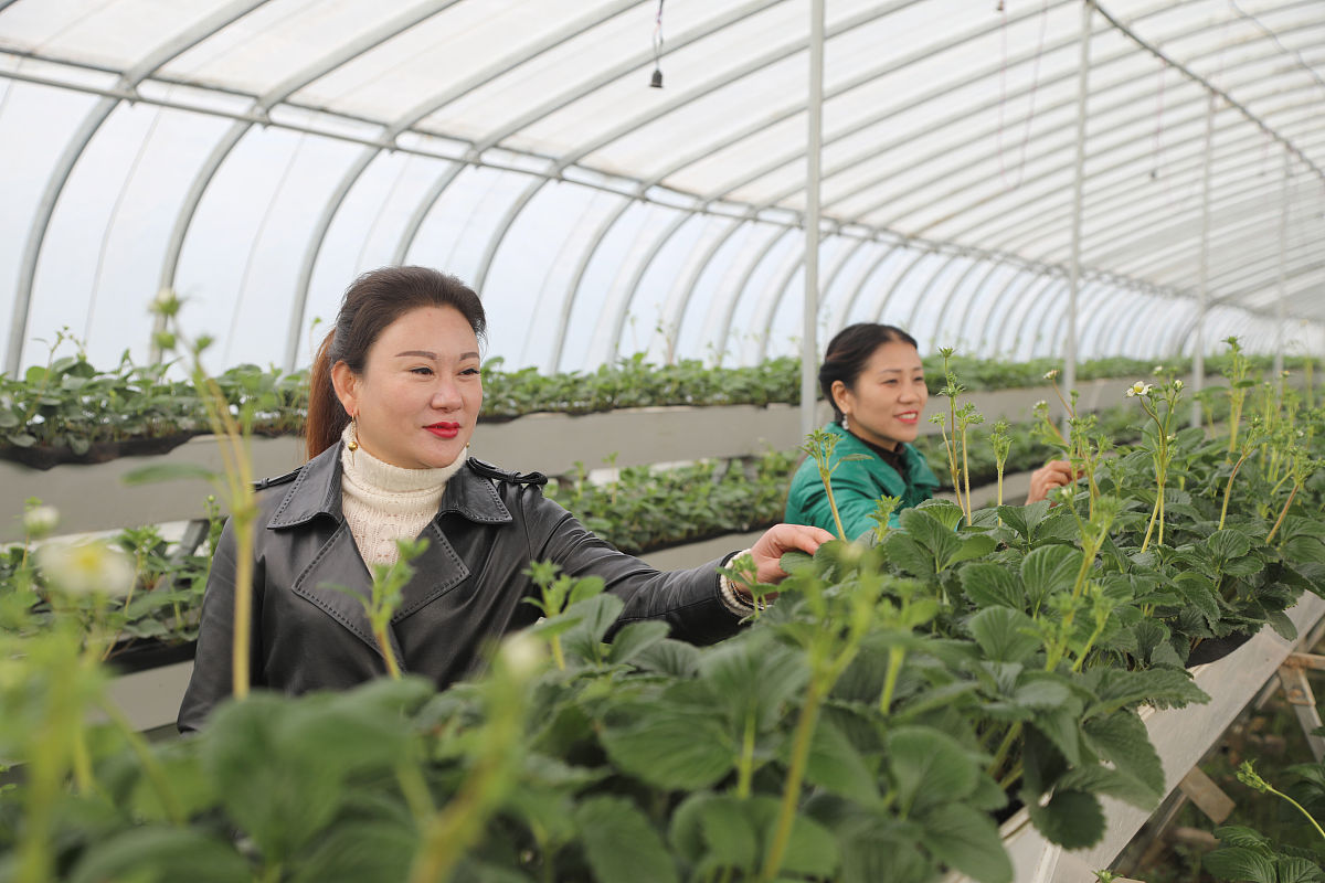 河南农业职业学院种子生产与经营专业就业前景分析