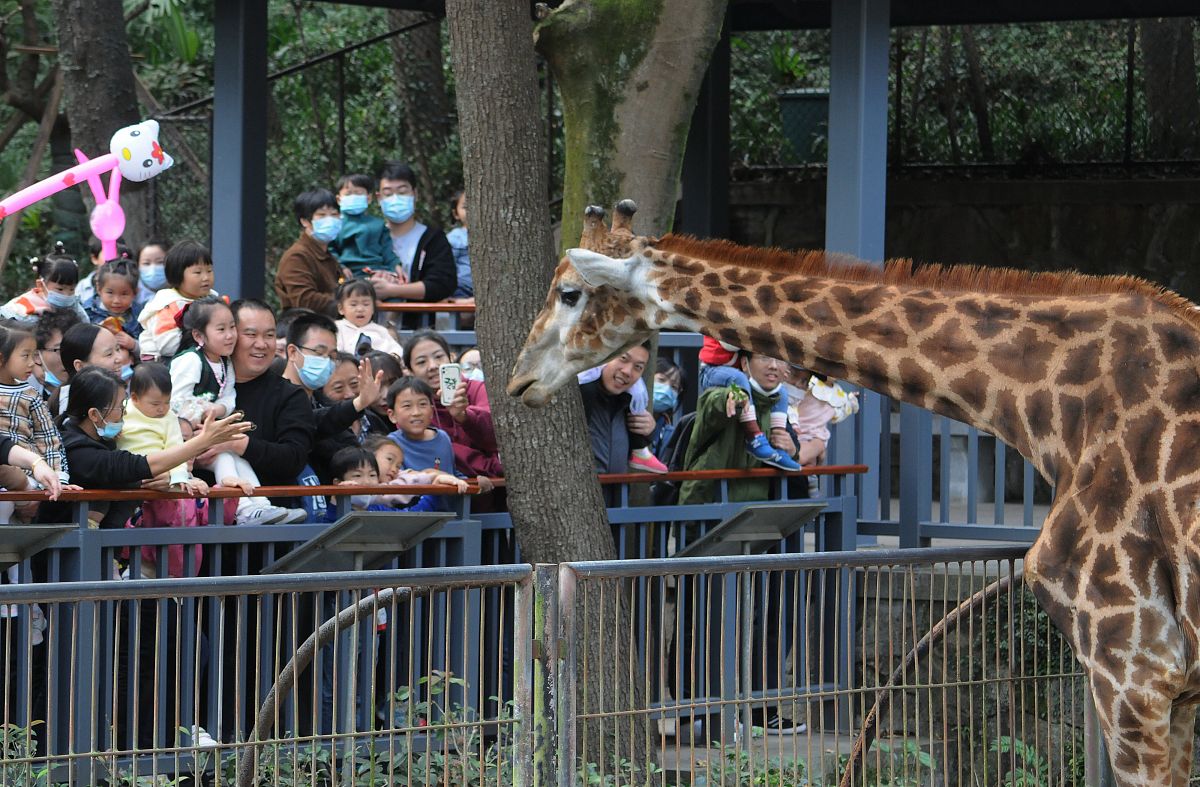 東京ズーネットワークの持続可能な発展：地域との共生と未来への責任