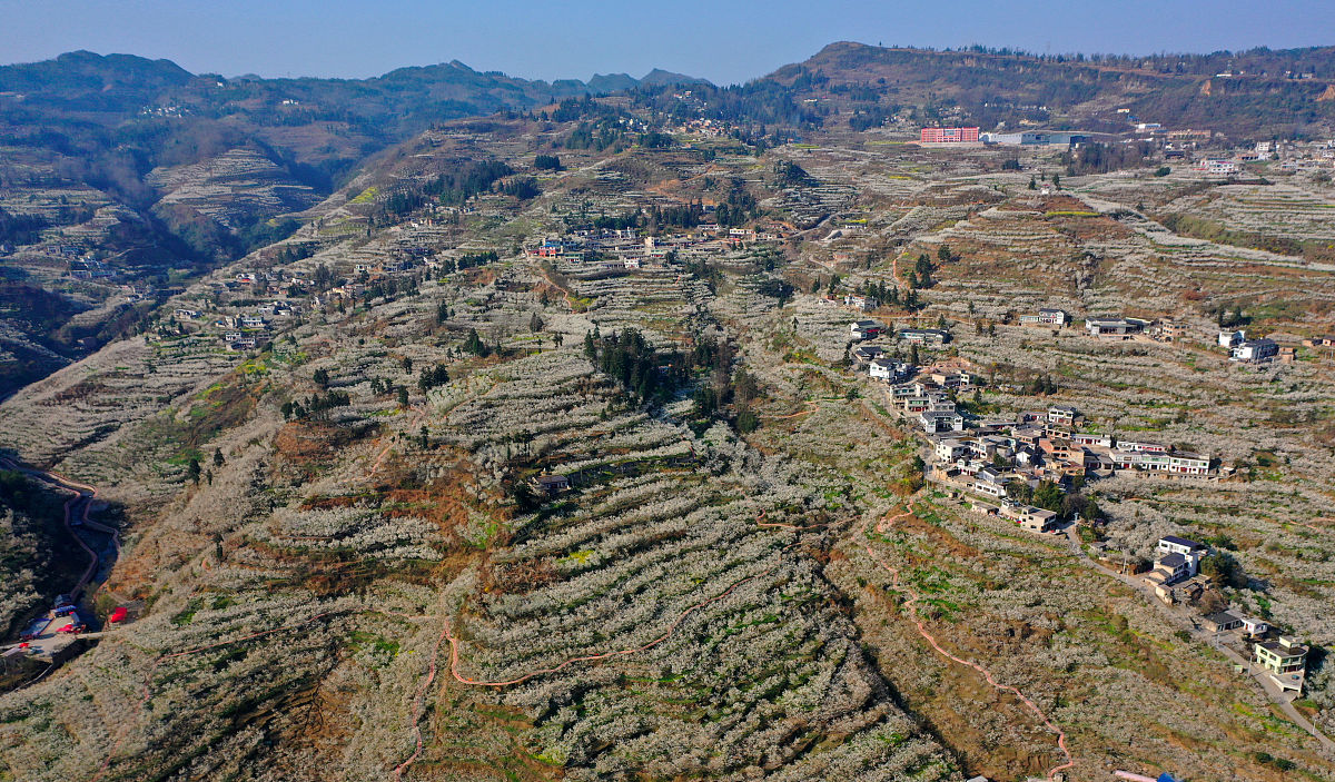 贵阳中专生未来展望：2022 年机遇与挑战