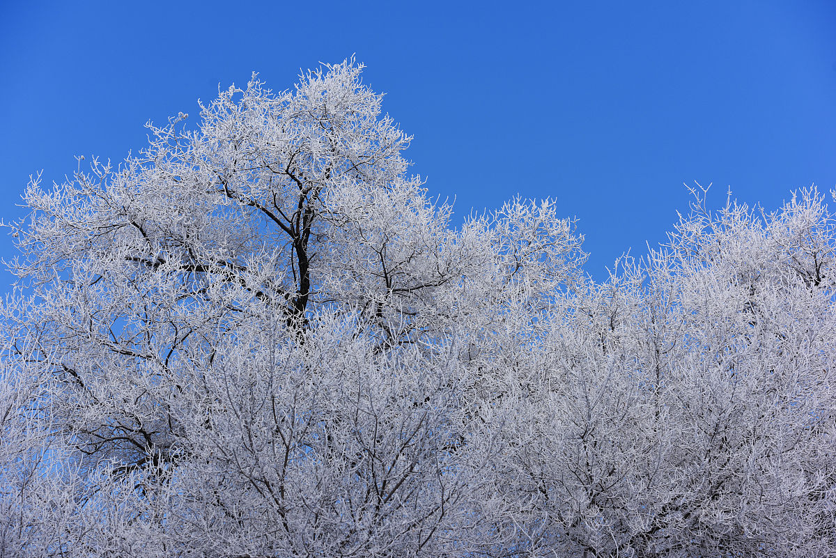 黑龙江护理高等专科学校药学专业怎么样