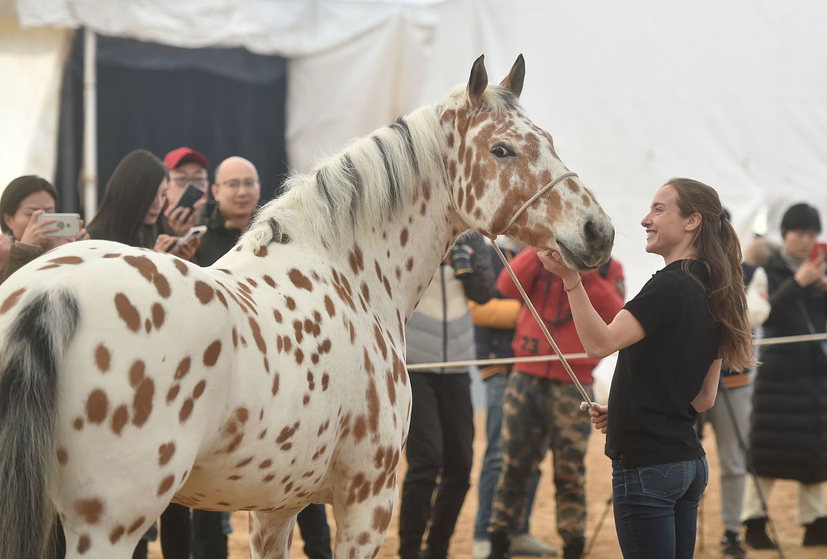 cavalia·舞马》在南京揭开神秘面纱,来自<strong>世界</strong>各地的40匹宝马齐聚汤山