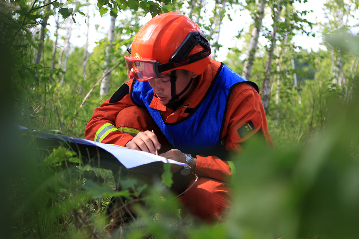 大兴安岭职业学院林业技术专业就业前景好吗？