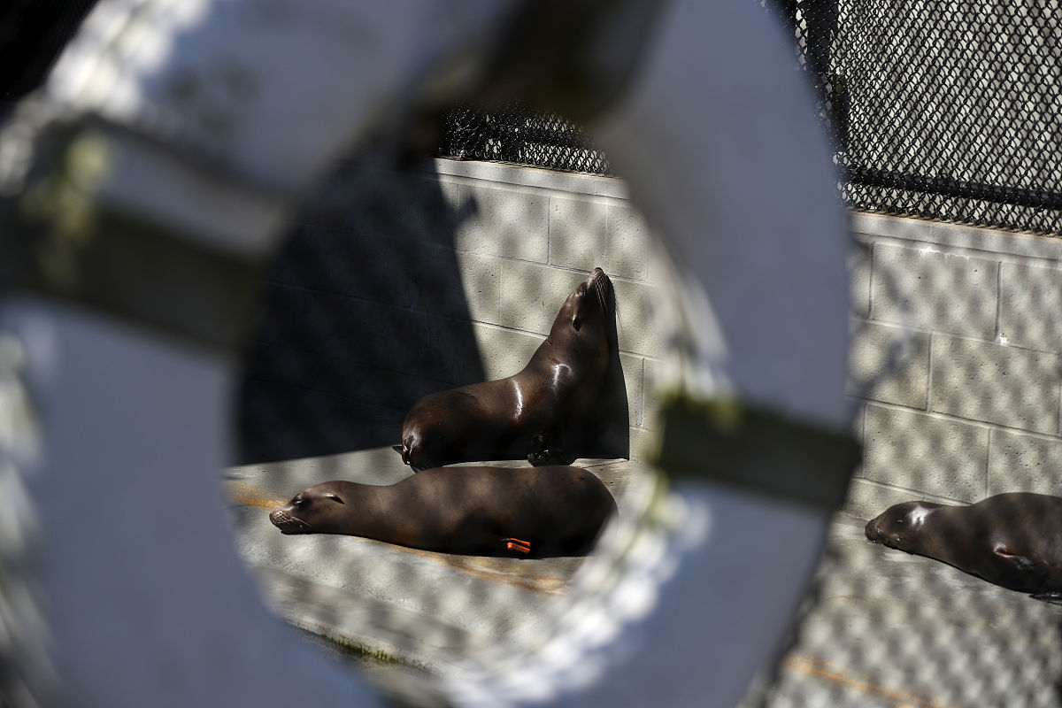 泉州海洋职业学院康复工程技术专业就业前景如何