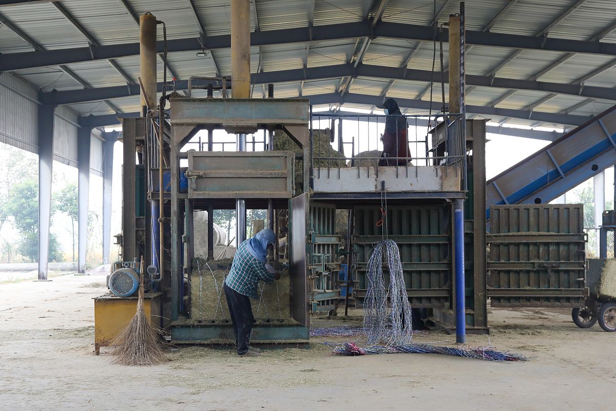 绵阳读中专学校怎么选？专业、师资、就业全方位解读