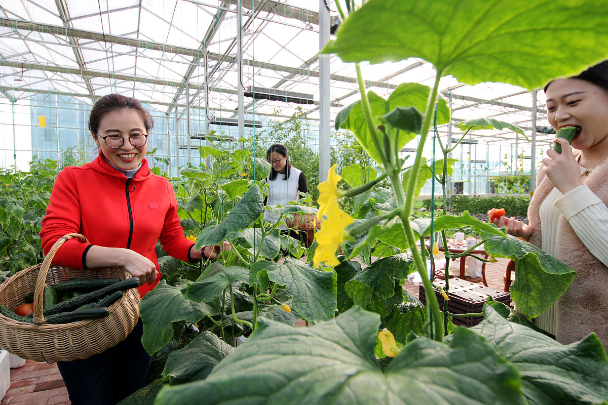 重庆市农业学校2019年招生情况 - 农业院校招生指南