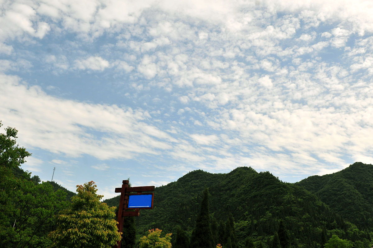 尊重差异，共建和谐社会：后语解读