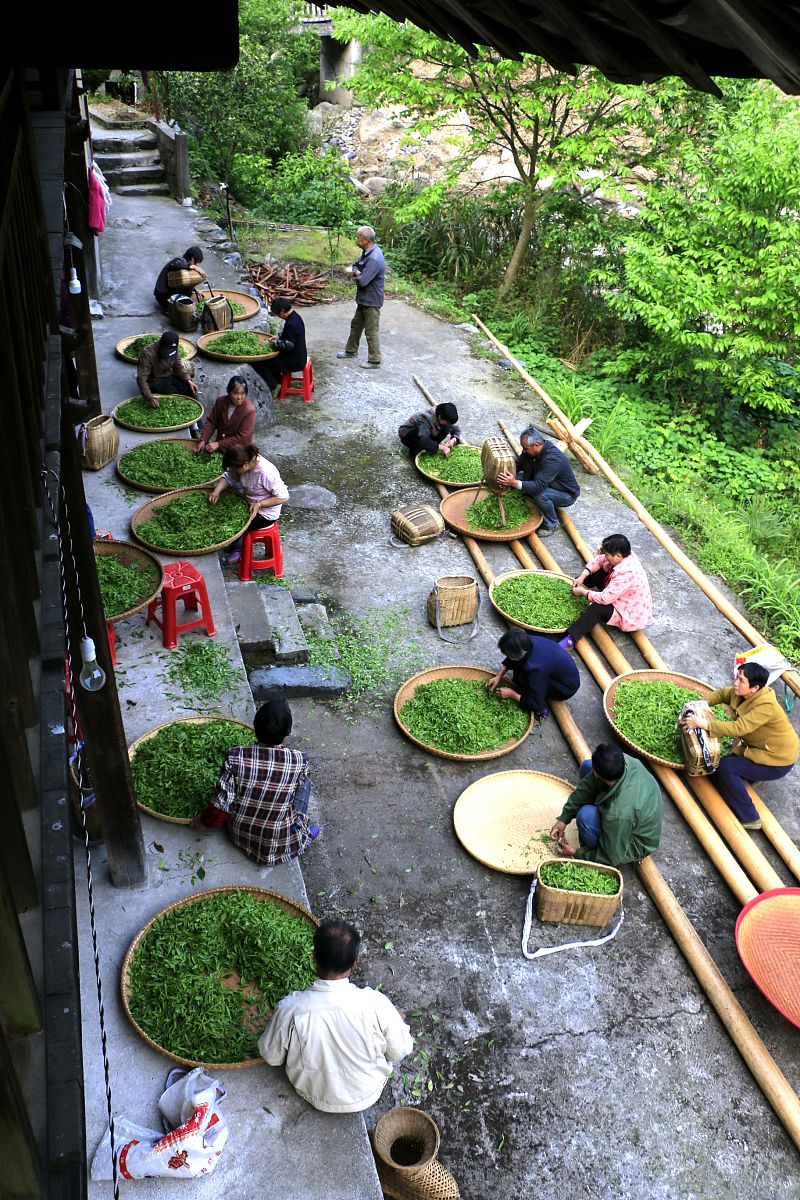 木ノ葉村の人いっぱい！村民かな？