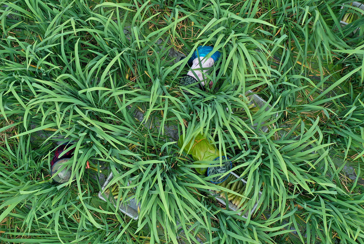 合作社主要工作及成效