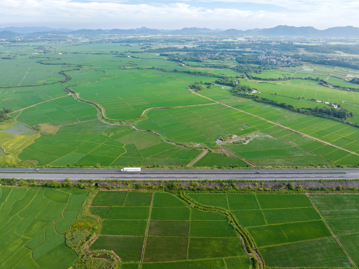 江苏省地貌类型：低山丘陵和平原圩区
