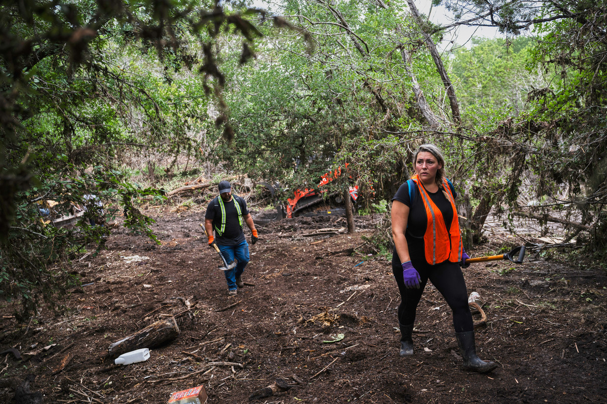 仿写英国电影虎口脱险中文