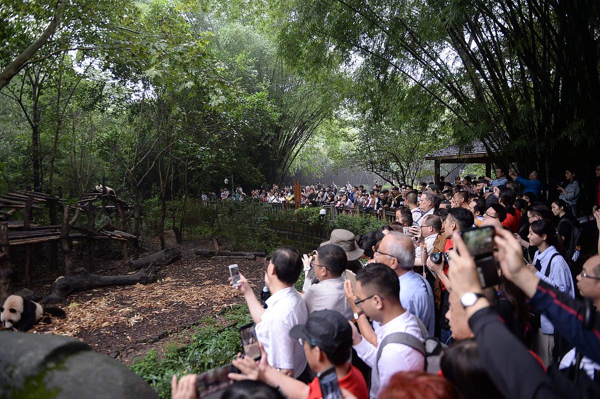 2019年9月5日,成都,诗歌周活动上,来自全球的众多诗人在宽窄巷子内采
