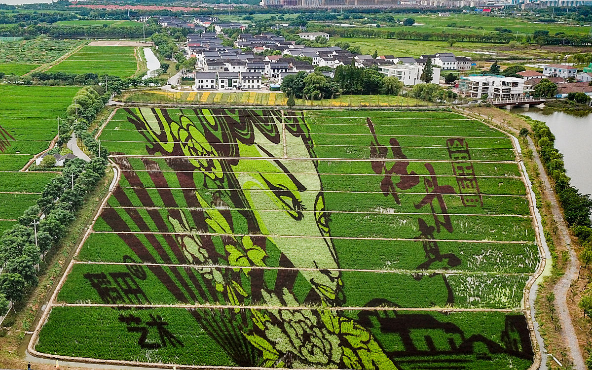 昆山2020积分入学最新消息：公布了吗？