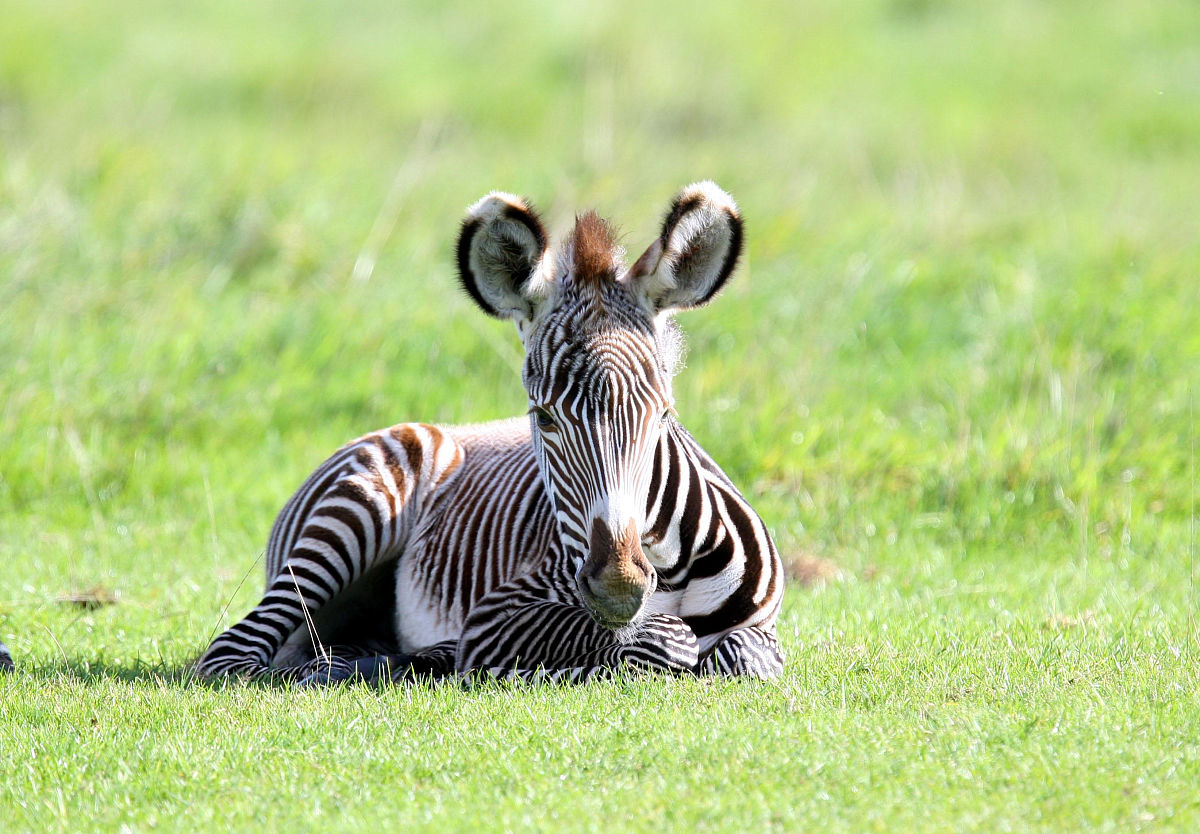 2003年10月28日下午3点出生八字算命-宿迁市泗洪县