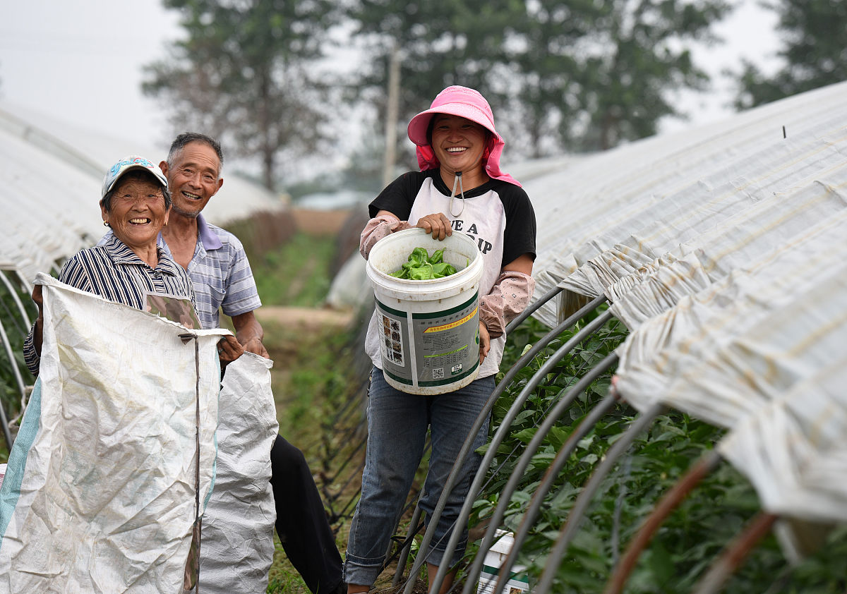 重庆市巫溪县职业教育中心现代农艺技术专业如何好学吗
