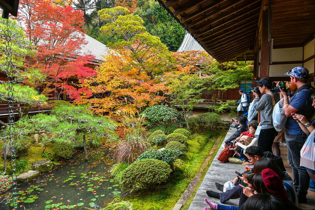 京都観光おすすめ！歴史、文化、絶景、美食、おもてなしが楽しめる古都の魅力